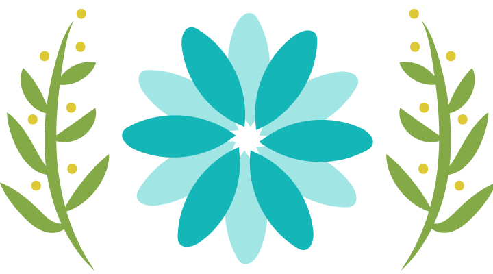 US Eye Injury Registry